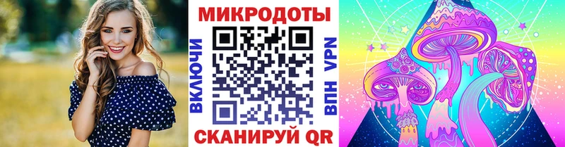 наркота Чкаловск мега ССЫЛКА Псилоцибиновые грибы Psilocybine cubensis